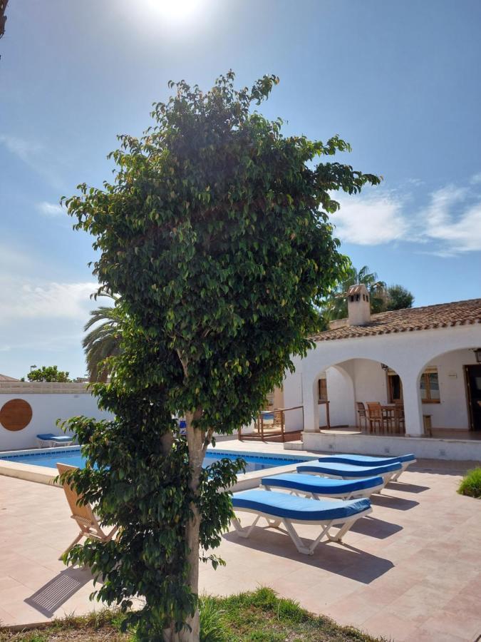 Zenia Hostel Playa Flamenca Exterior photo